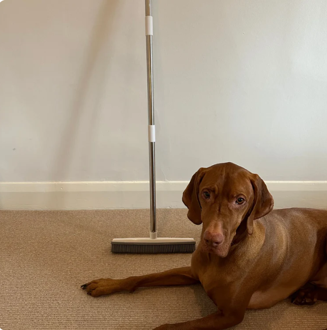 YourPetsCenter broom for cleaning pet hair